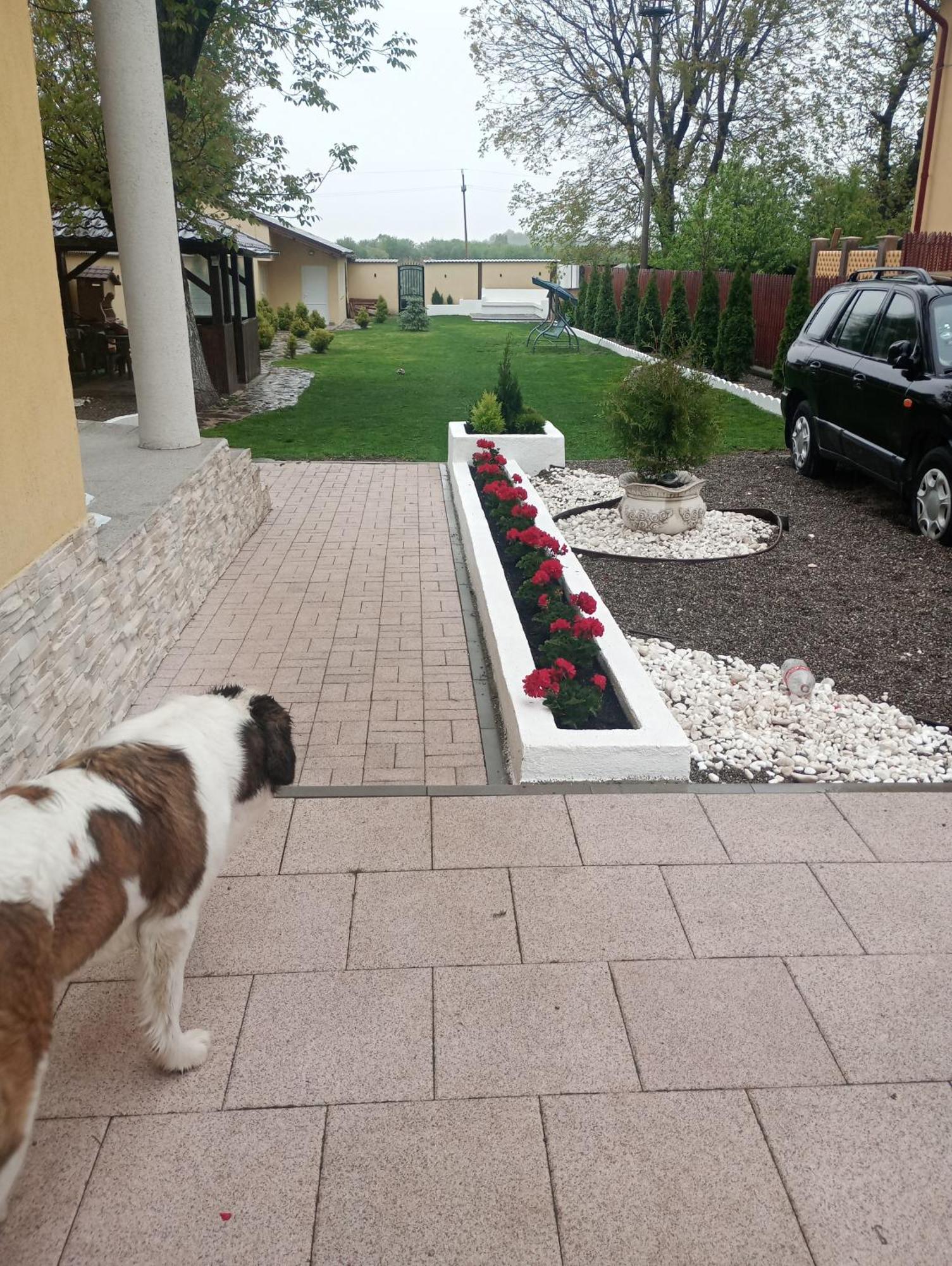 Izabella Guest House ساتْشيلي المظهر الخارجي الصورة