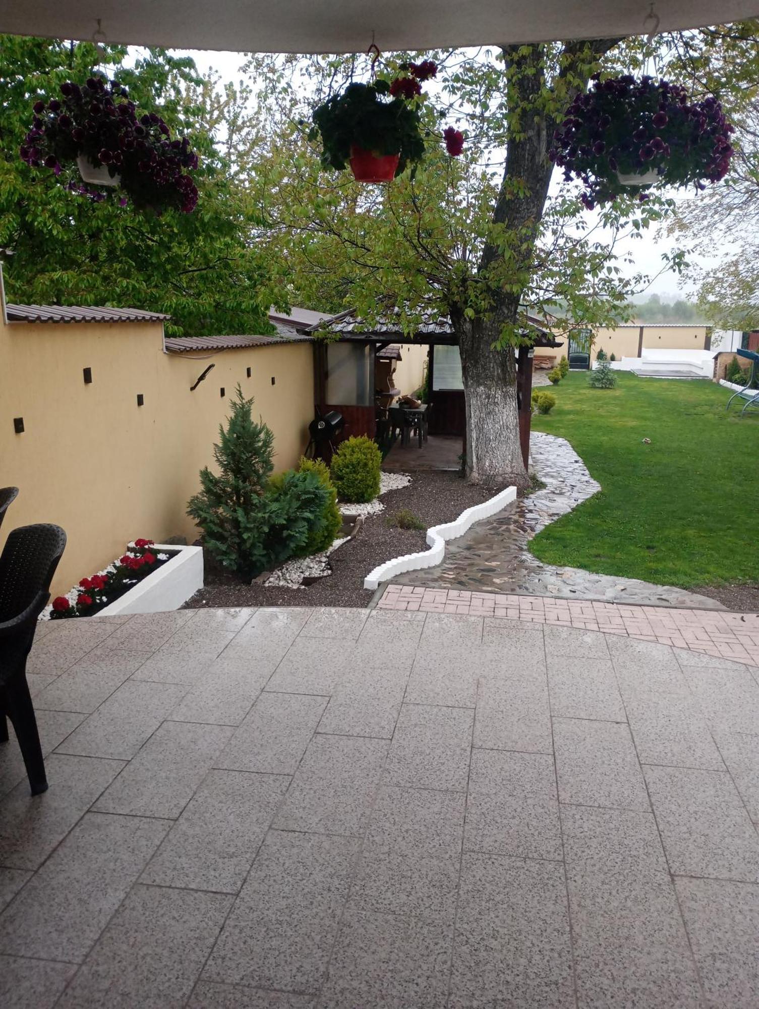 Izabella Guest House ساتْشيلي المظهر الخارجي الصورة